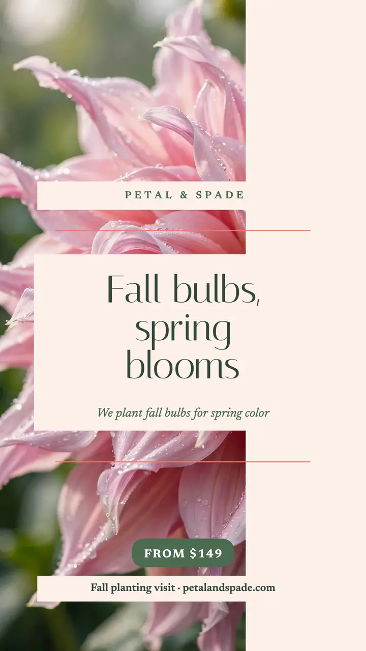 Petal and Spade fall bulb planting story template