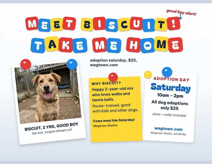 Wagtown Shelter adoption Saturday magnet flyer template