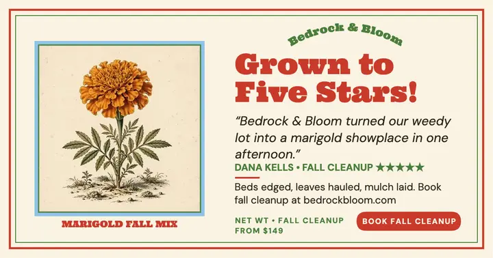Bedrock and Bloom marigold review seed post template