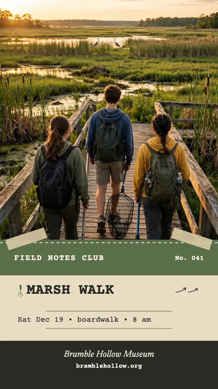 Marsh walk field journal story template
