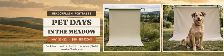Meadowflash pet portrait days banner template