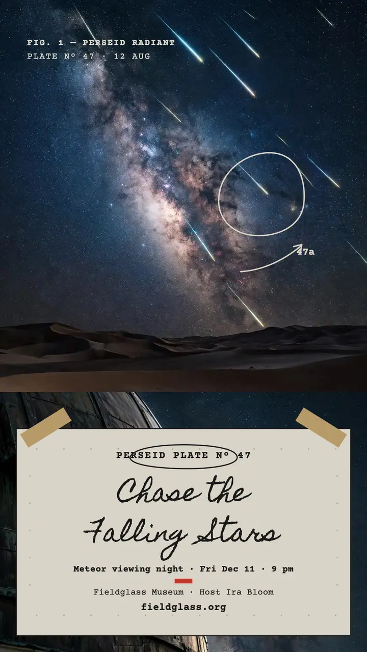 Fieldglass meteor night glass plate story template