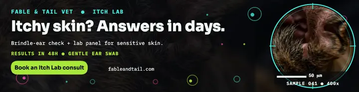 Fable and Tail skin lab billboard template