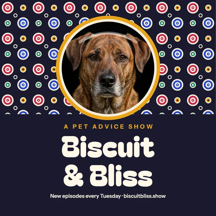 Biscuit and Bliss pet advice podcast cover template