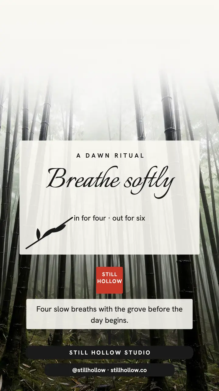 Misty bamboo breathing ritual story template