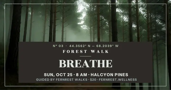 Misty forest bathing walk post: forest bathing walk post template