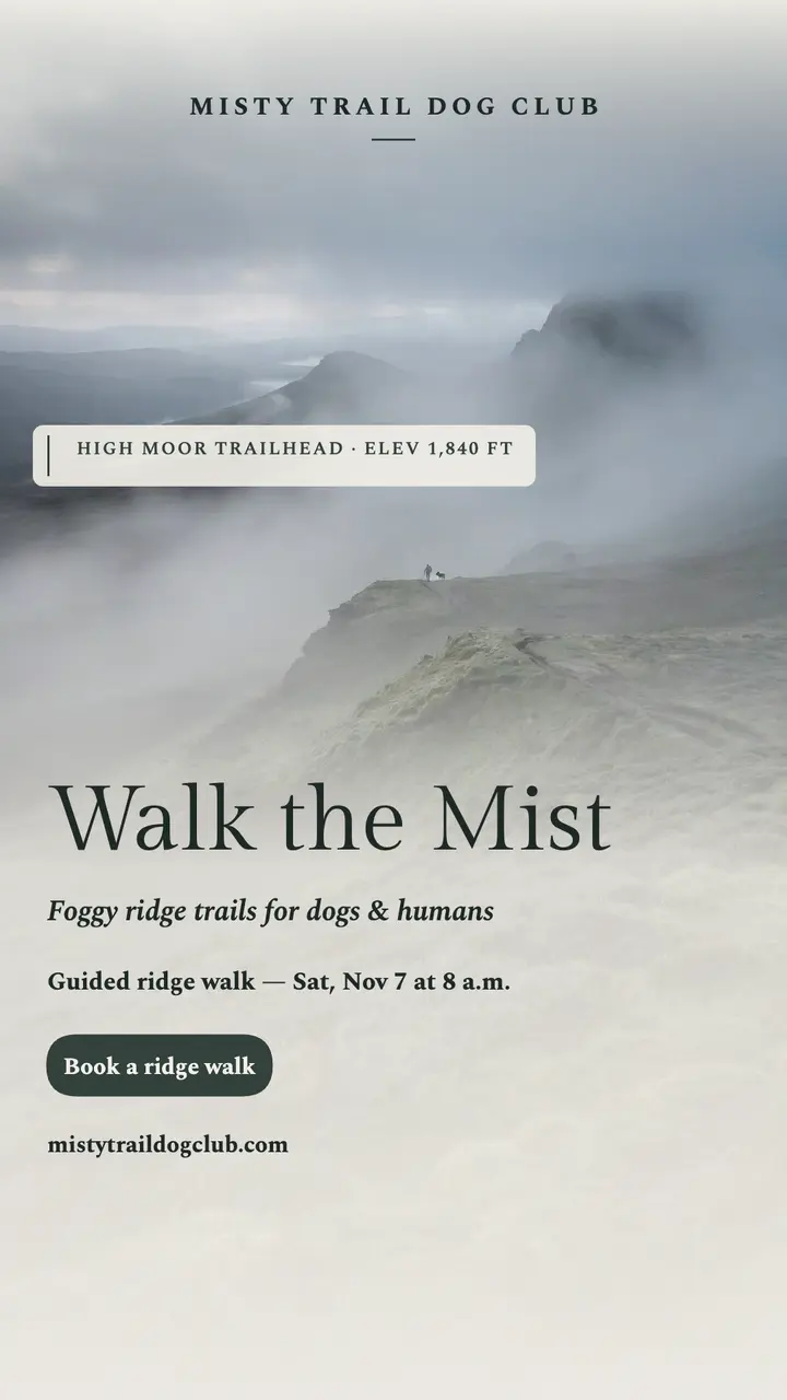 Misty highland dog walk story template