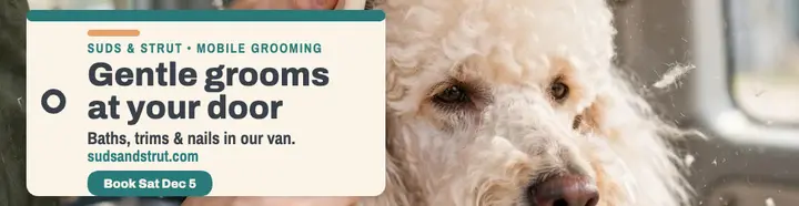 Suds and Strut mobile grooming billboard: dog grooming billboard template