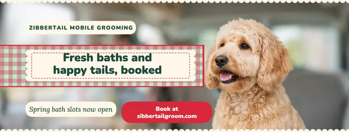 Mobile dog grooming spring baths gingham cover template