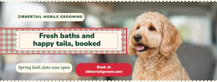 Mobile dog grooming spring baths gingham cover template