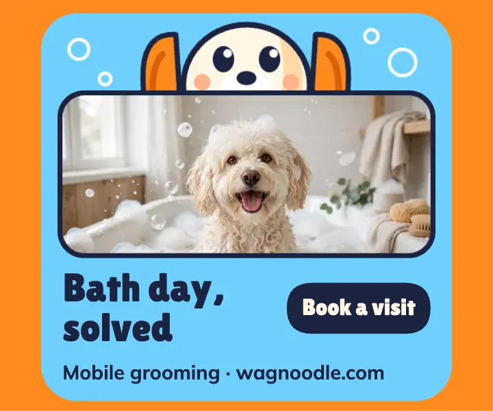Wagnoodle mobile dog grooming mascot ad template