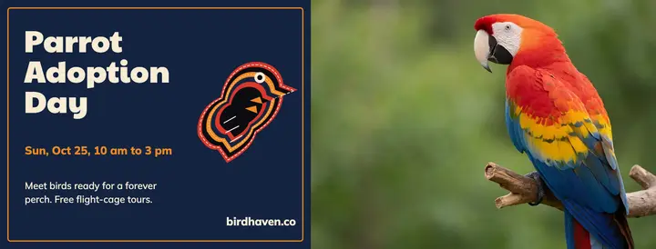 Birdhaven parrot adoption day template