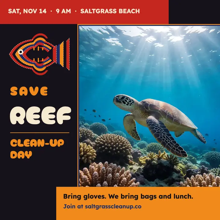 Saltgrass reef clean-up: beach clean-up day post template
