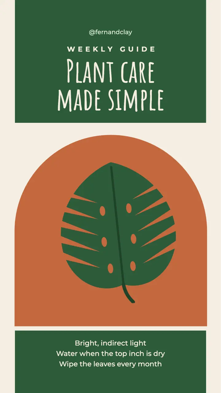 Monstera plant care story template