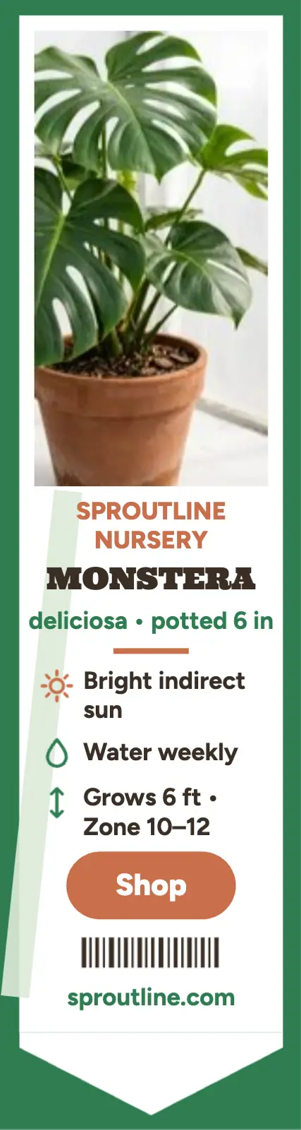 Sproutline monstera stake skyscraper: monstera plant stake ad template