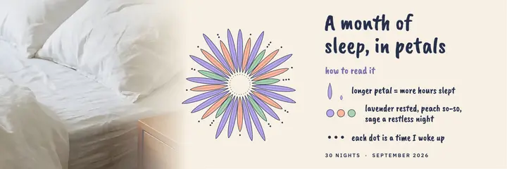 A month of sleep in petals, data humanism header: sleep diary header template