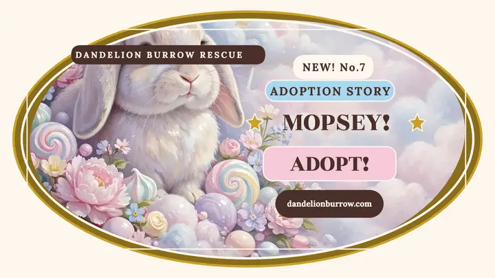 Mopsey rabbit dreamscape thumbnail template
