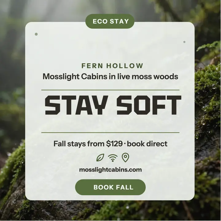 Mosslight moss cabin fall stay post template