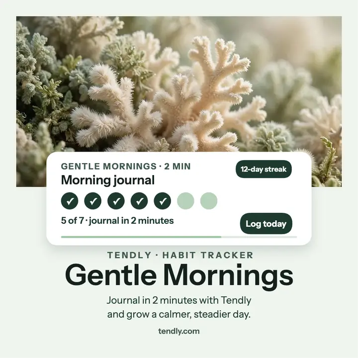 Tendly Gentle Mornings habit promo: habit tracker promo template