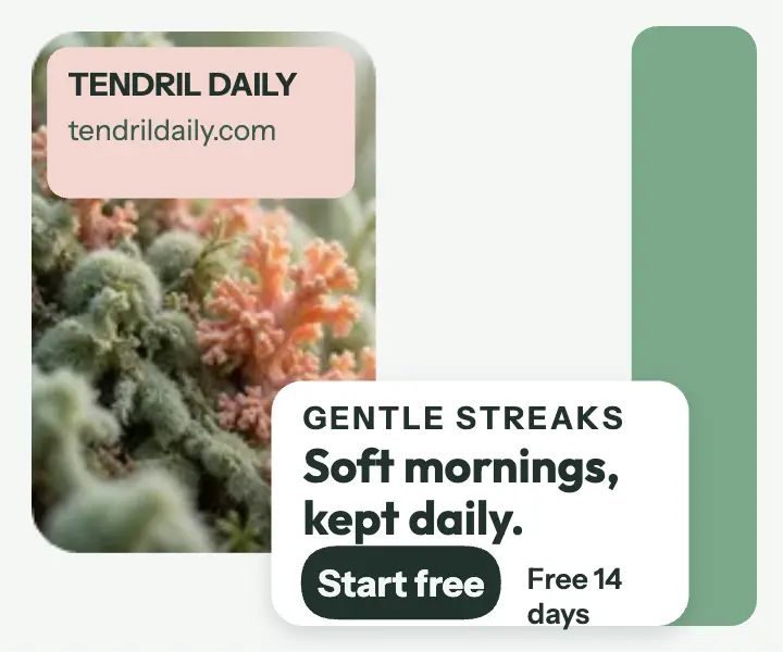 Tendril Daily soft mornings habit ad template