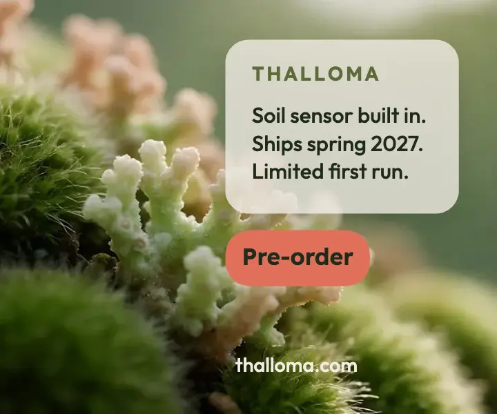 Thalloma moss planter pre-order ad template