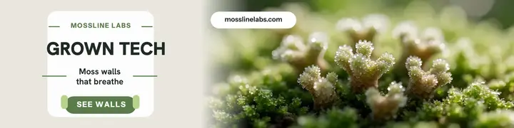 Mossline Labs moss wall banner template