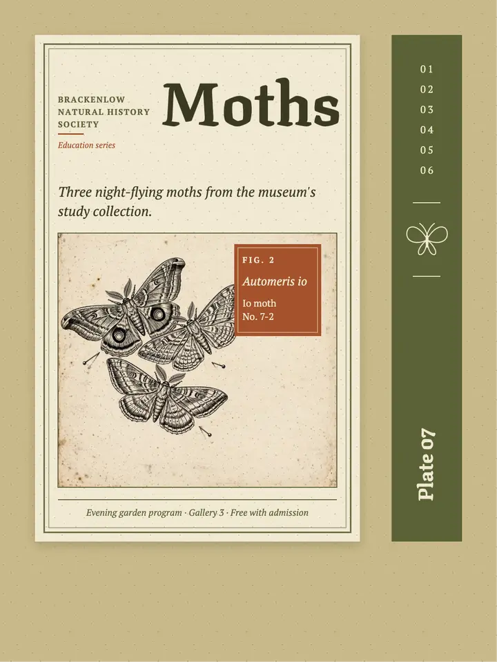 Moth field guide plate, museum education post template