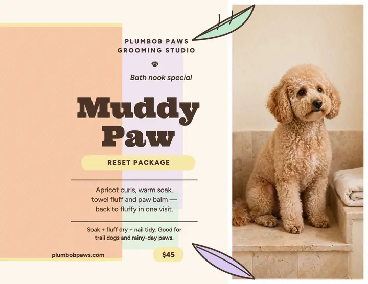 Muddy Paw Reset grooming flyer template