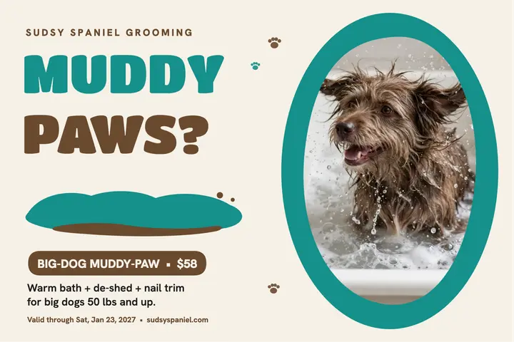 Muddy-paw groom special postcard: dog groomer postcard template