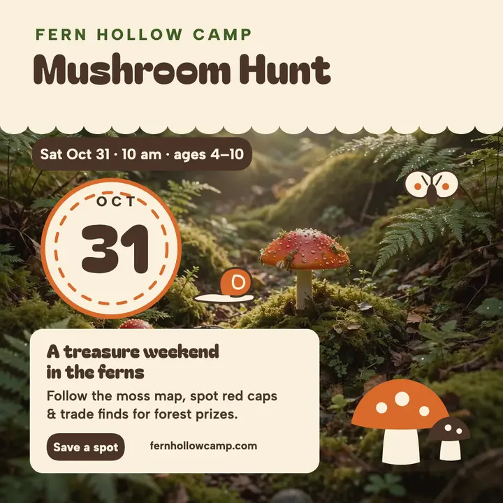 Fern Hollow mushroom hunt weekend post template