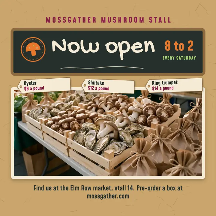 Mushroom stall now open post, market stall style: farmers market stall opening post template