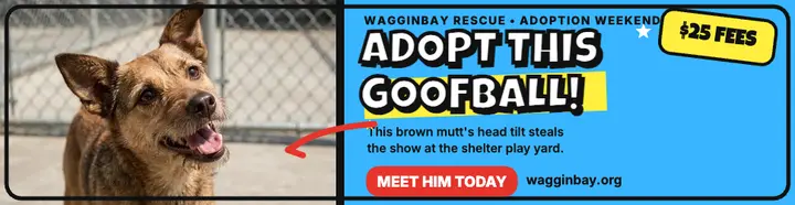 Wagginbay mutt adoption billboard template