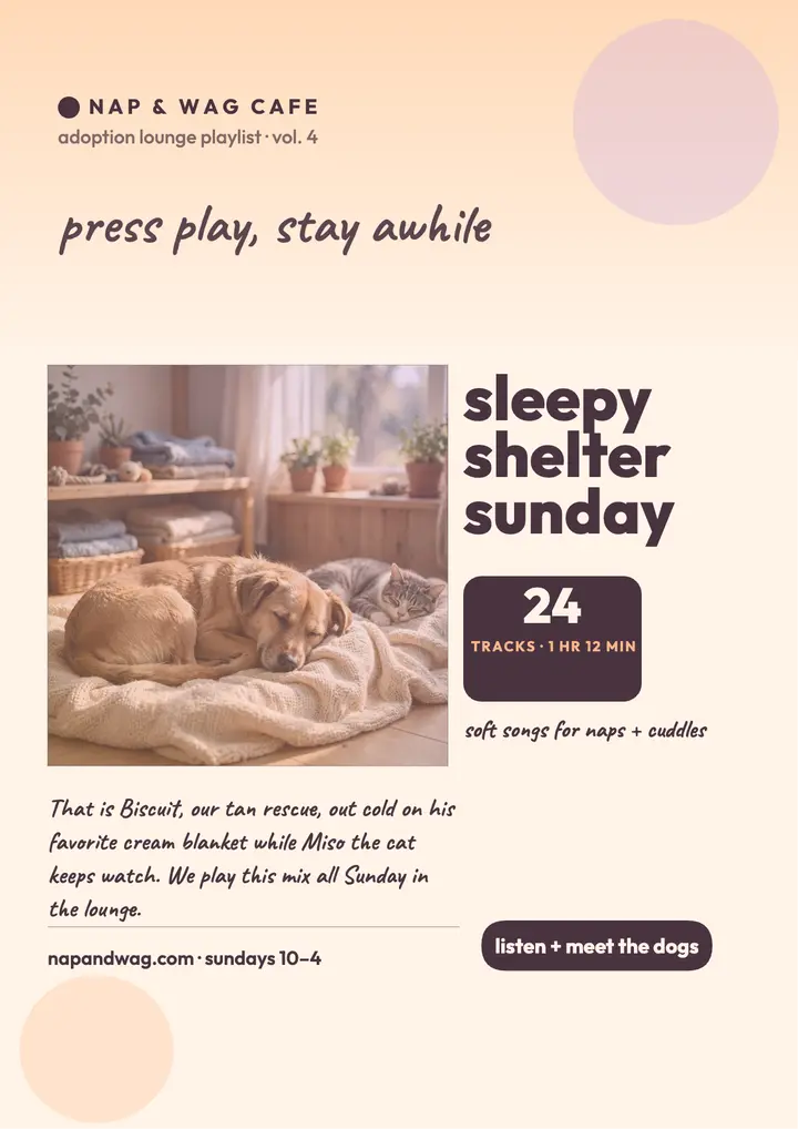 Nap and Wag calm playlist flyer template