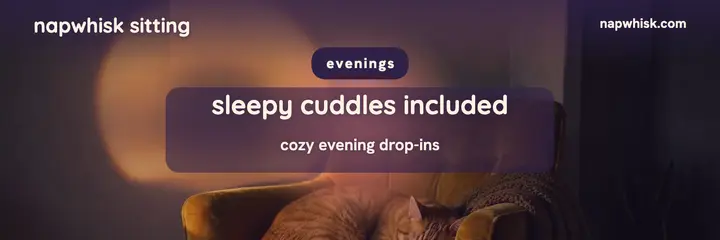 Napwhisk evening sitting header template