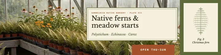 Sorrelwick Native Nursery banner, field guide template