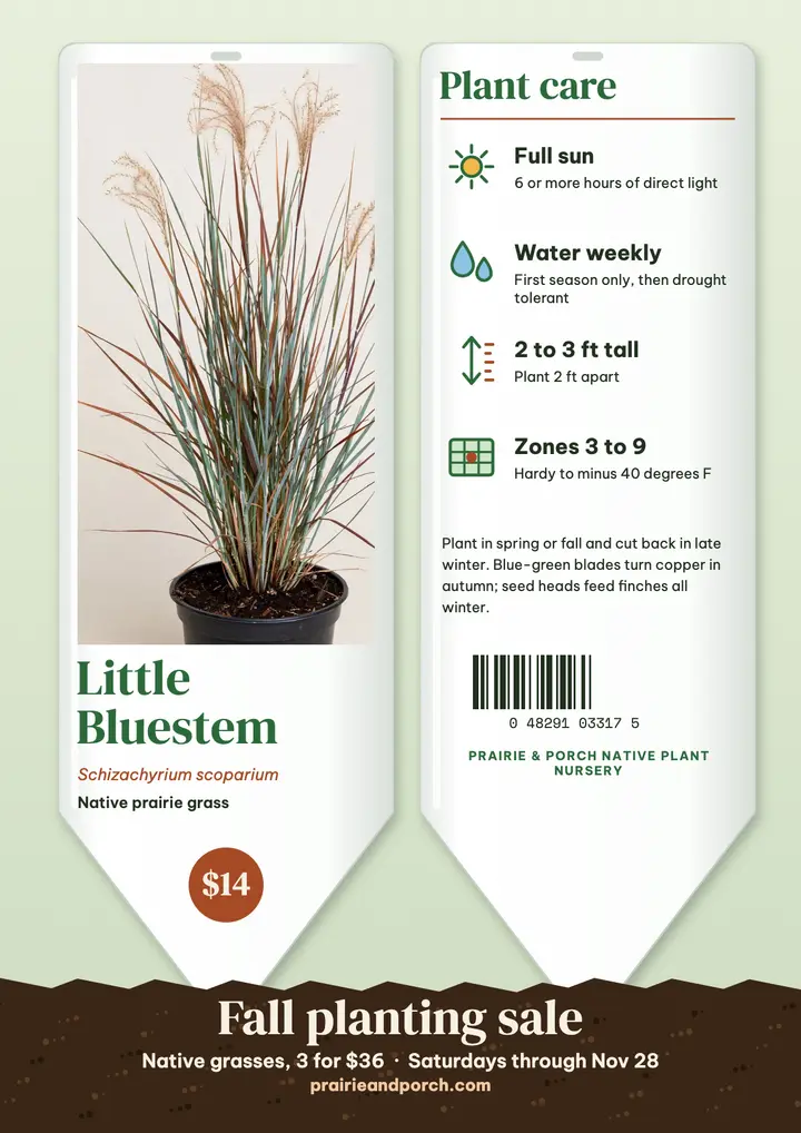 Native grass plant-stake fall sale flyer template