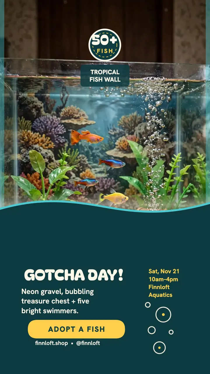 Finnloft neon fish wall gotcha story template