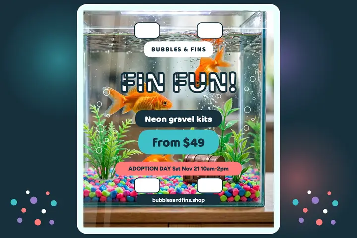 Bubbles and Fins neon aquarium postcard template