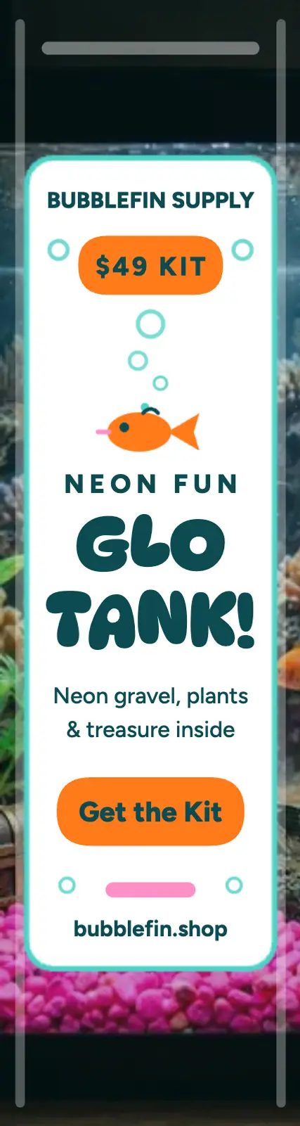 Bubblefin neon aquarium kit skyscraper template