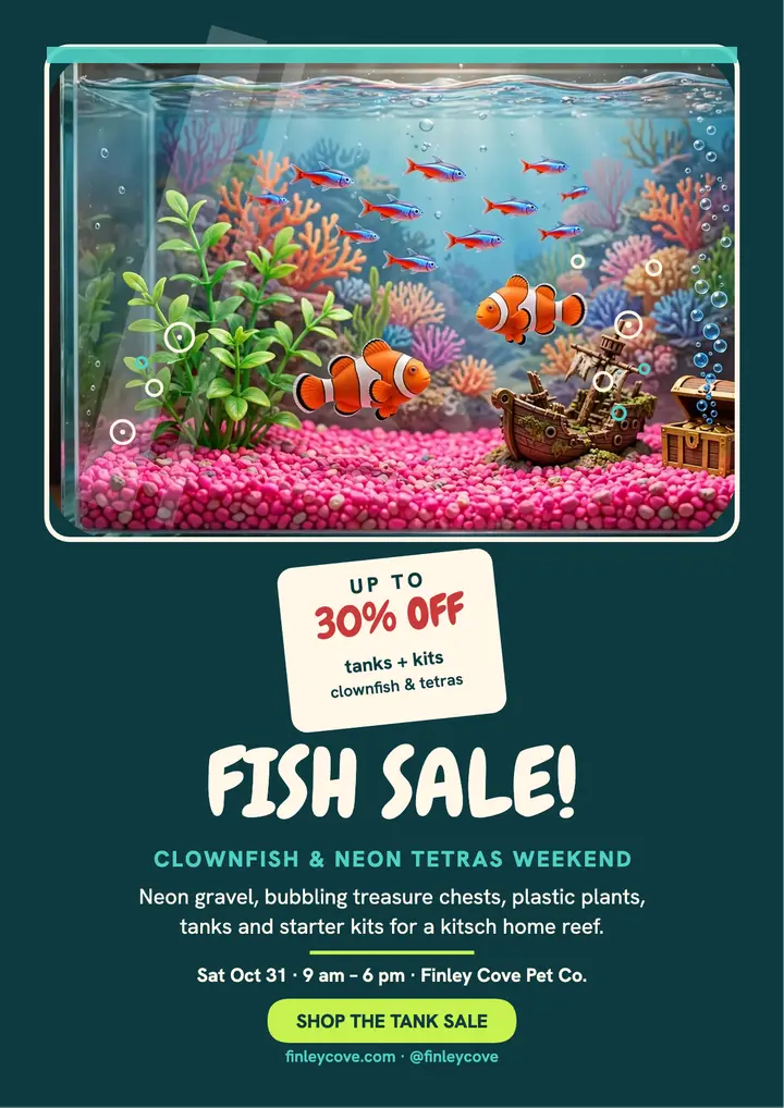 Finley Cove fish sale flyer, clownfish template