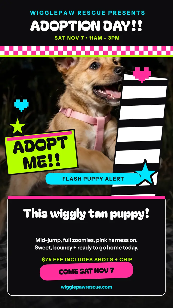 Wigglepaw neon puppy adoption story template