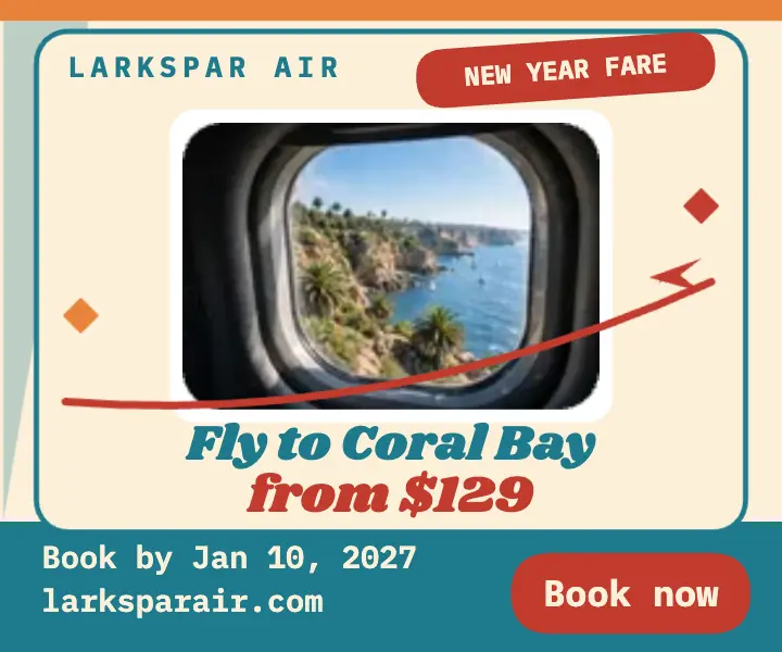 Larkspar Air New Year flights jet age ad template