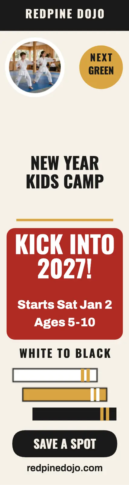 Redpine New Year karate camp skyscraper template