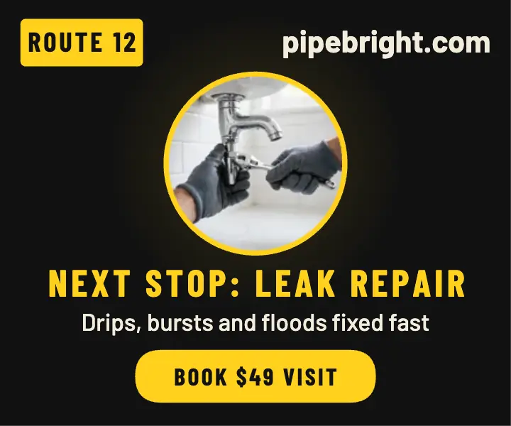 Pipebright next stop leak repair ad template