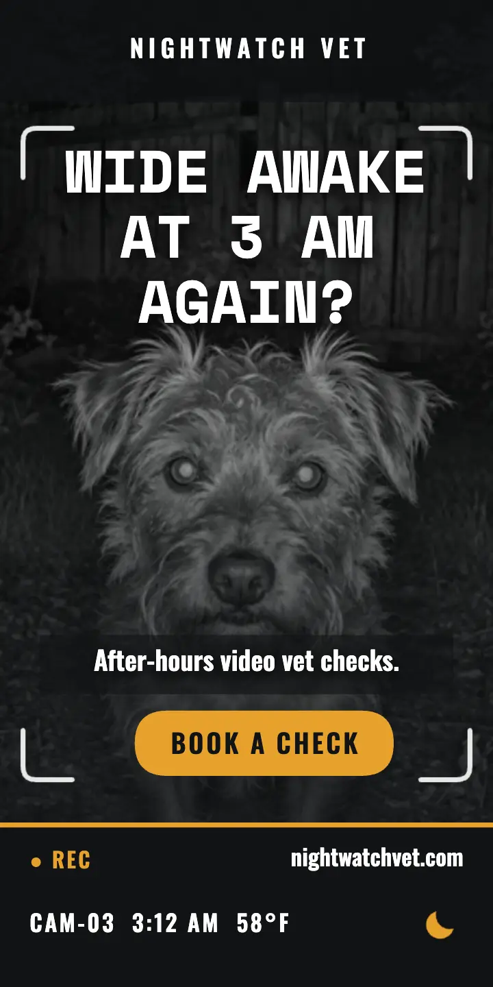 Nightwatch Vet night-cam half page ad: vet night check ad template