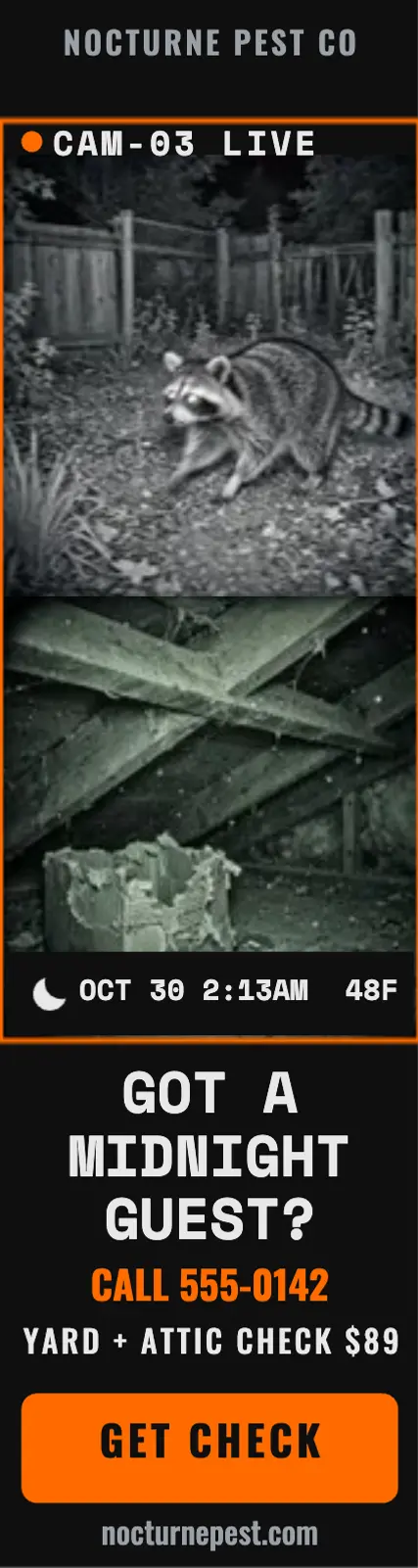Nocturne night-cam pest check skyscraper template