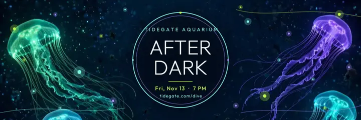 Tidegate after dark X header template