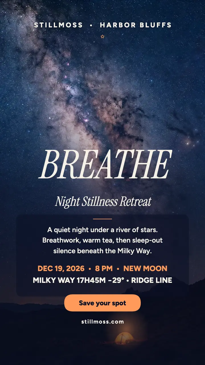 Stillmoss night stillness retreat story template