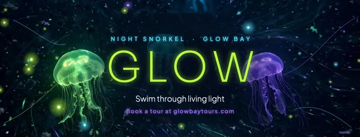 Glow Bay night snorkel cover template