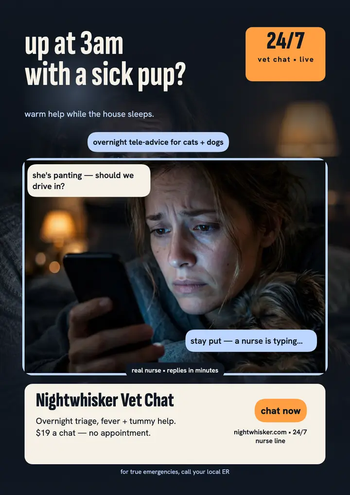 Nightwhisker overnight vet chat flyer template